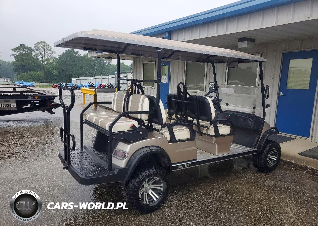 2023 Aetric Golf Cart VIN:1H9AE43S6PA666235 - 4
