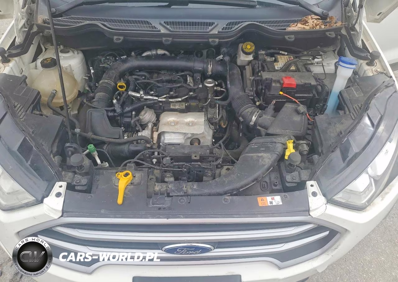 2018 Ford Ecosport Se VIN:MAJ3P1TE3JC174379 - 11