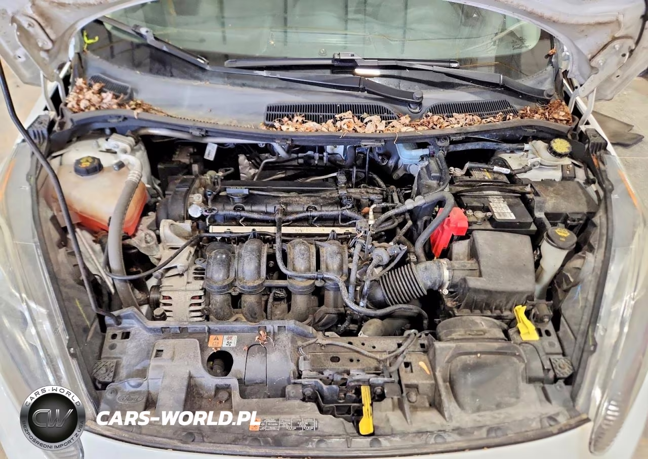 2015 Ford Fiesta Se VIN:3FADP4BJ4FM219422 - 11