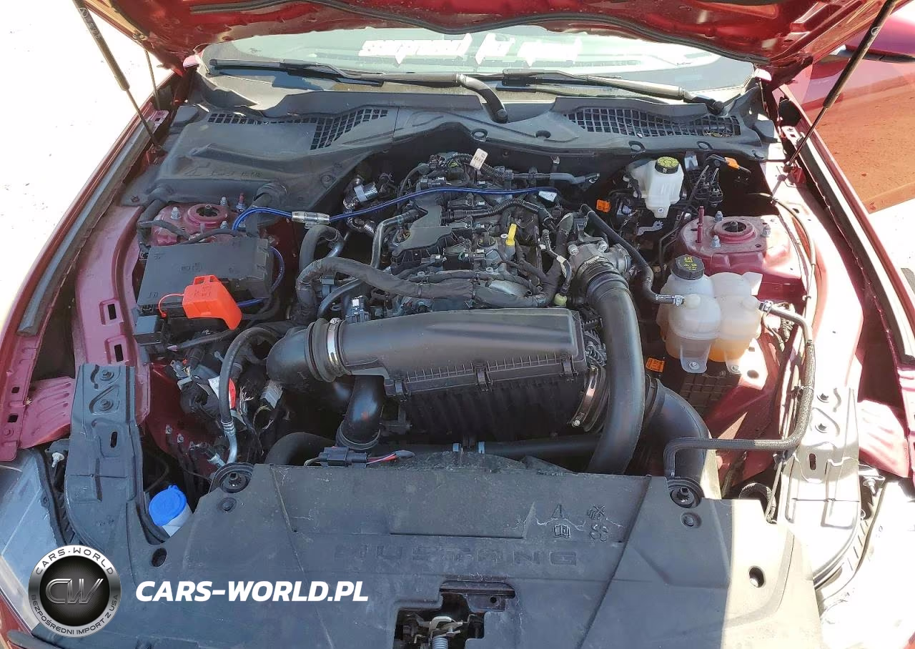 2025 Ford Mustang VIN:1FA6P8TH4S5102855 - 11