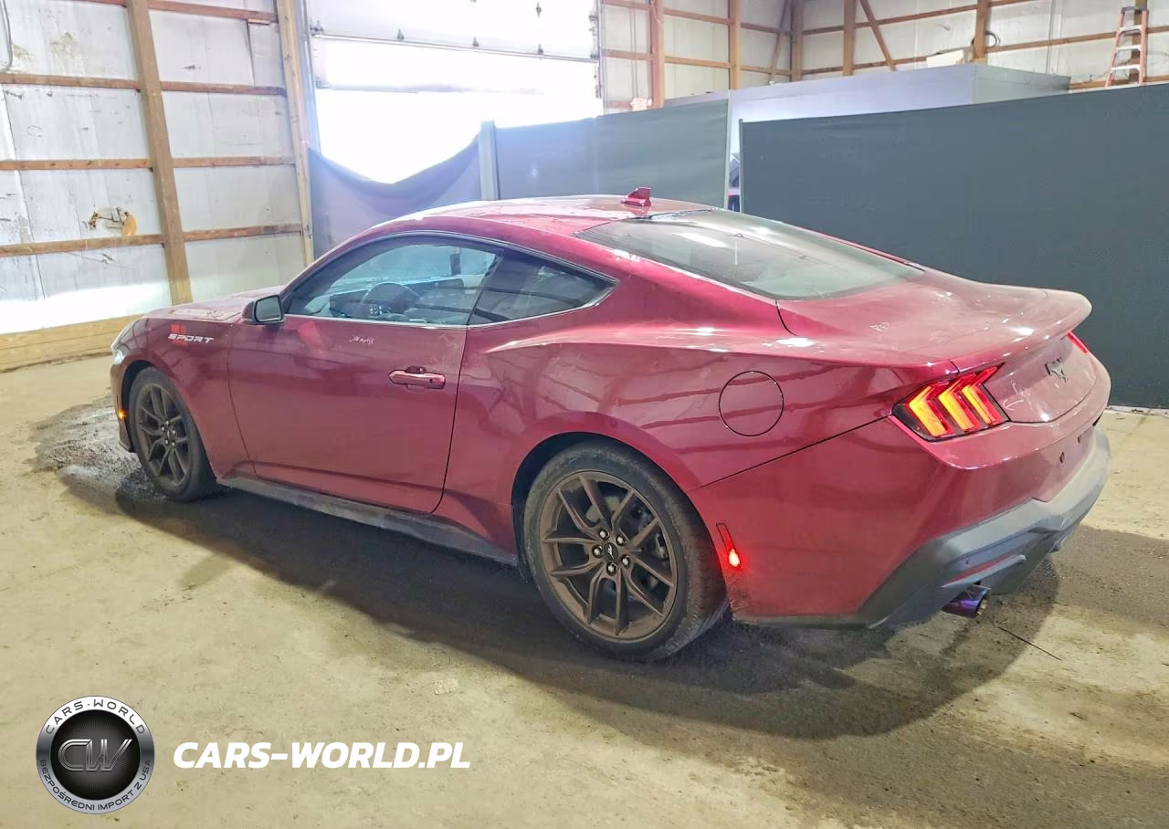 2025 Ford Mustang VIN:1FA6P8TH4S5102855 - 2
