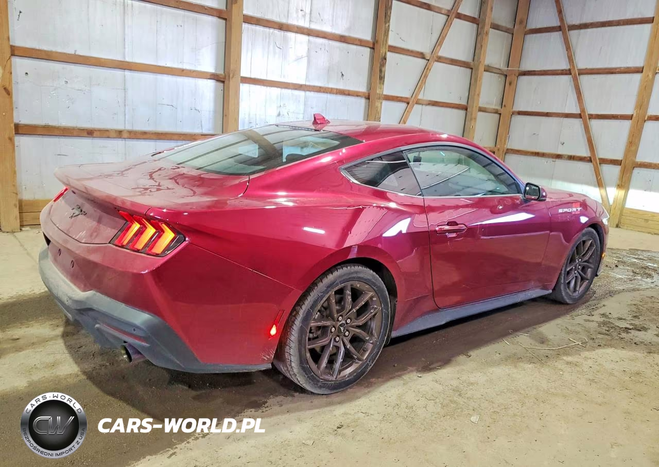 2025 Ford Mustang VIN:1FA6P8TH4S5102855 - 3