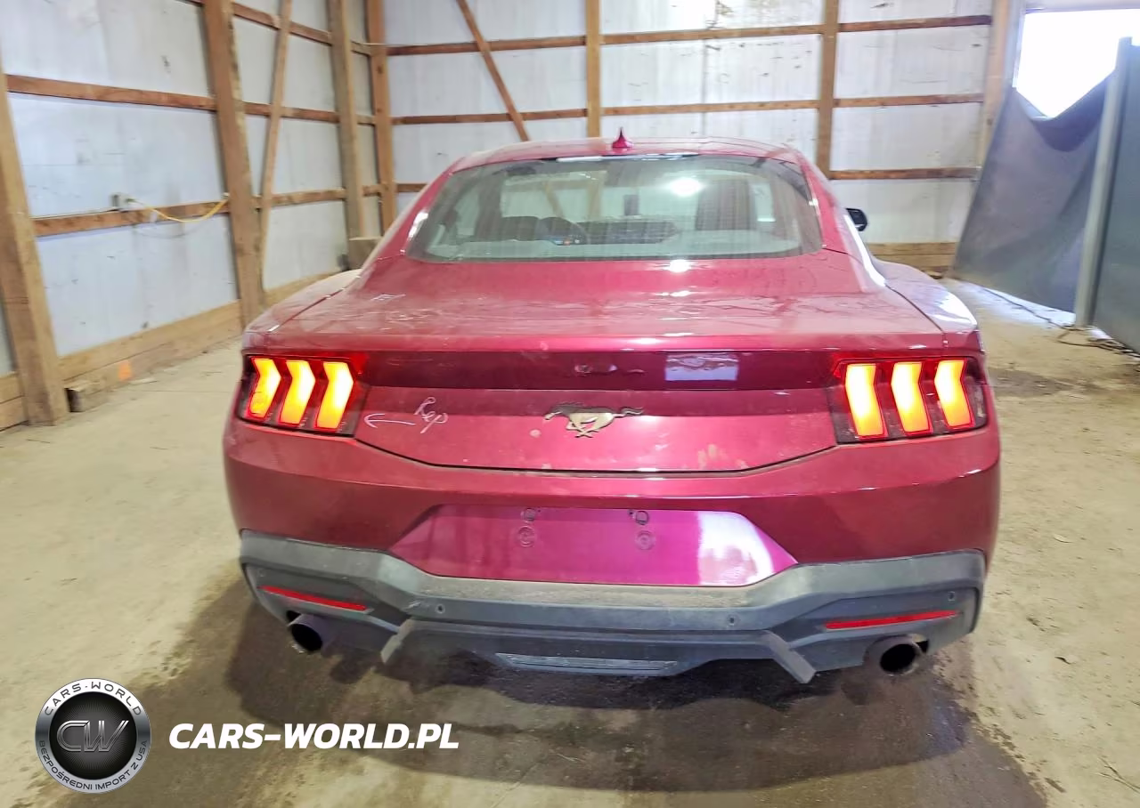 2025 Ford Mustang VIN:1FA6P8TH4S5102855 - 6