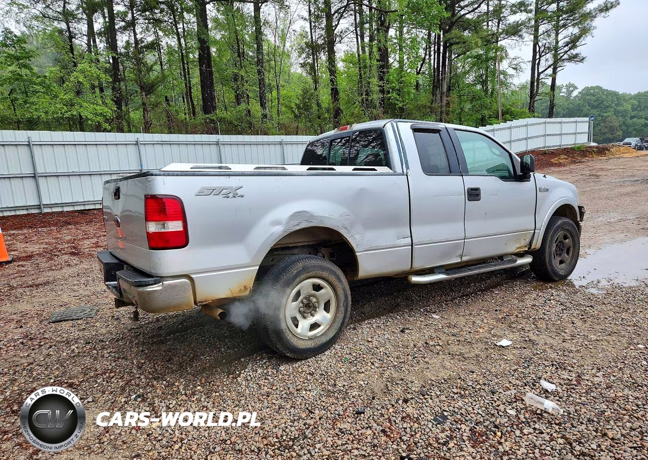 2005 Ford F150 VIN:1FTRX14W05NB94045 - 3
