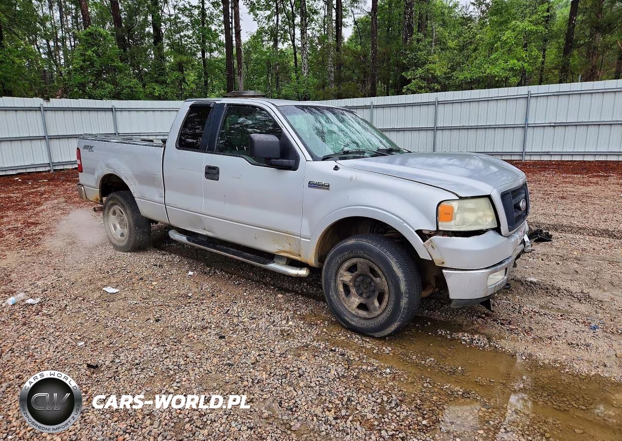 2005 Ford F150 VIN:1FTRX14W05NB94045 - 4
