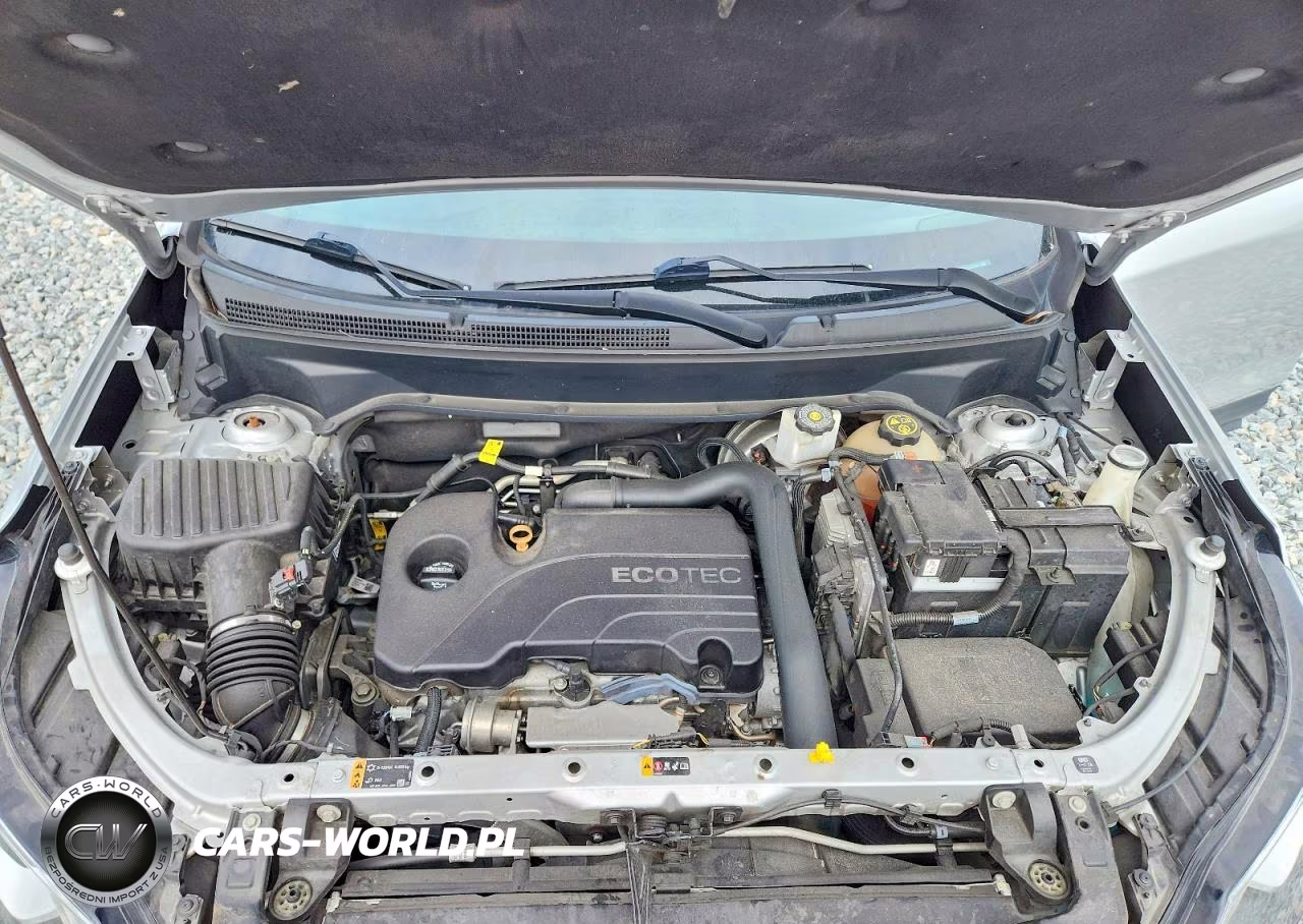 2019 Chevrolet Equinox Lt VIN:2GNAXKEV1K6159806 - 11