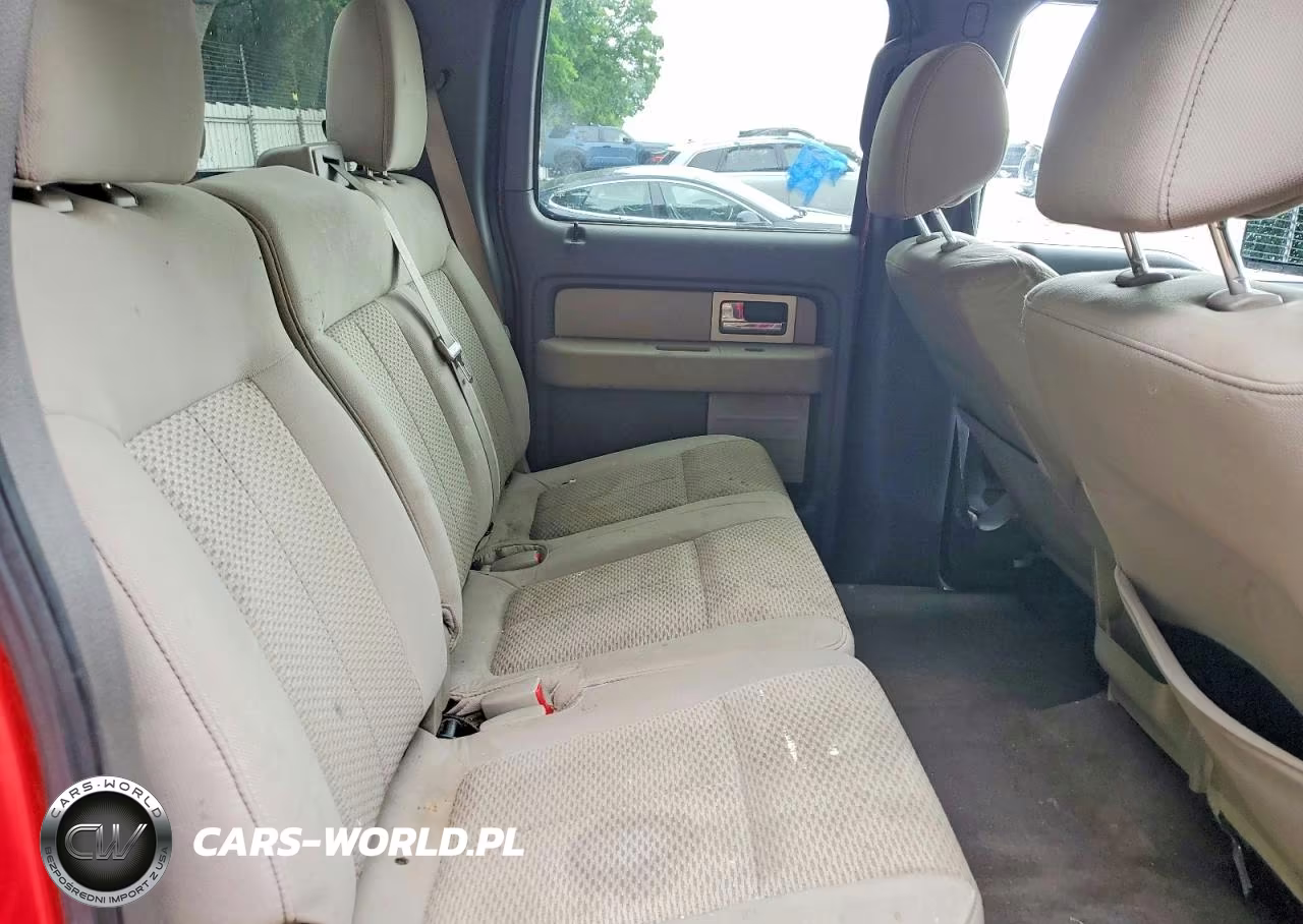 2010 Ford F150 Supercrew VIN:1FTEW1C83AFC81169 - 10