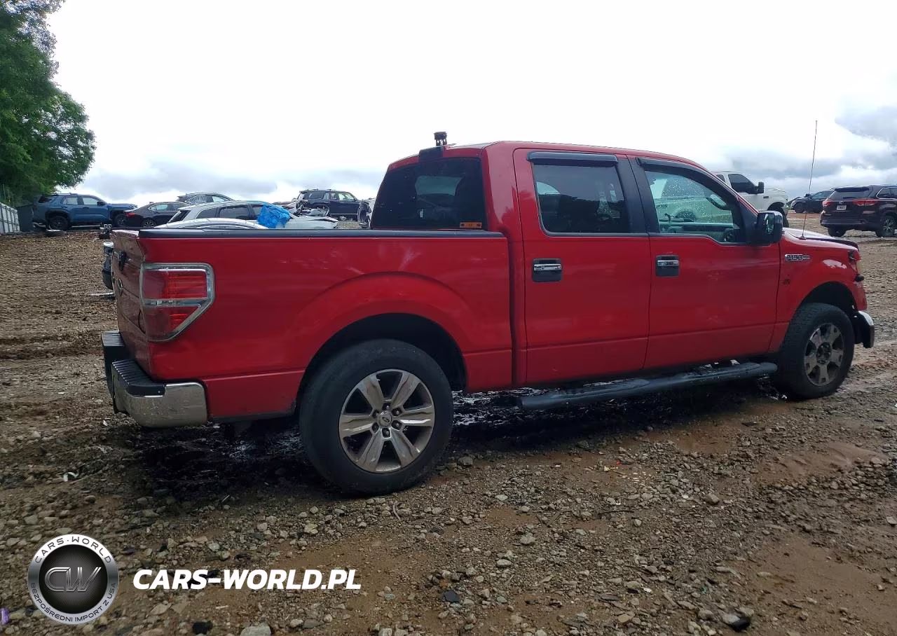 2010 Ford F150 Supercrew VIN:1FTEW1C83AFC81169 - 3