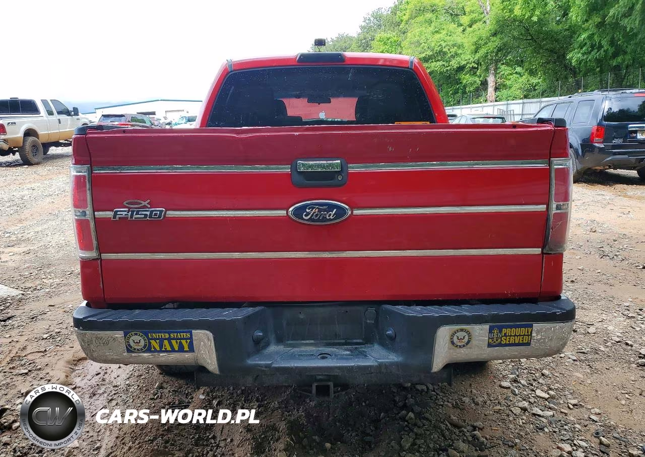 2010 Ford F150 Supercrew VIN:1FTEW1C83AFC81169 - 6