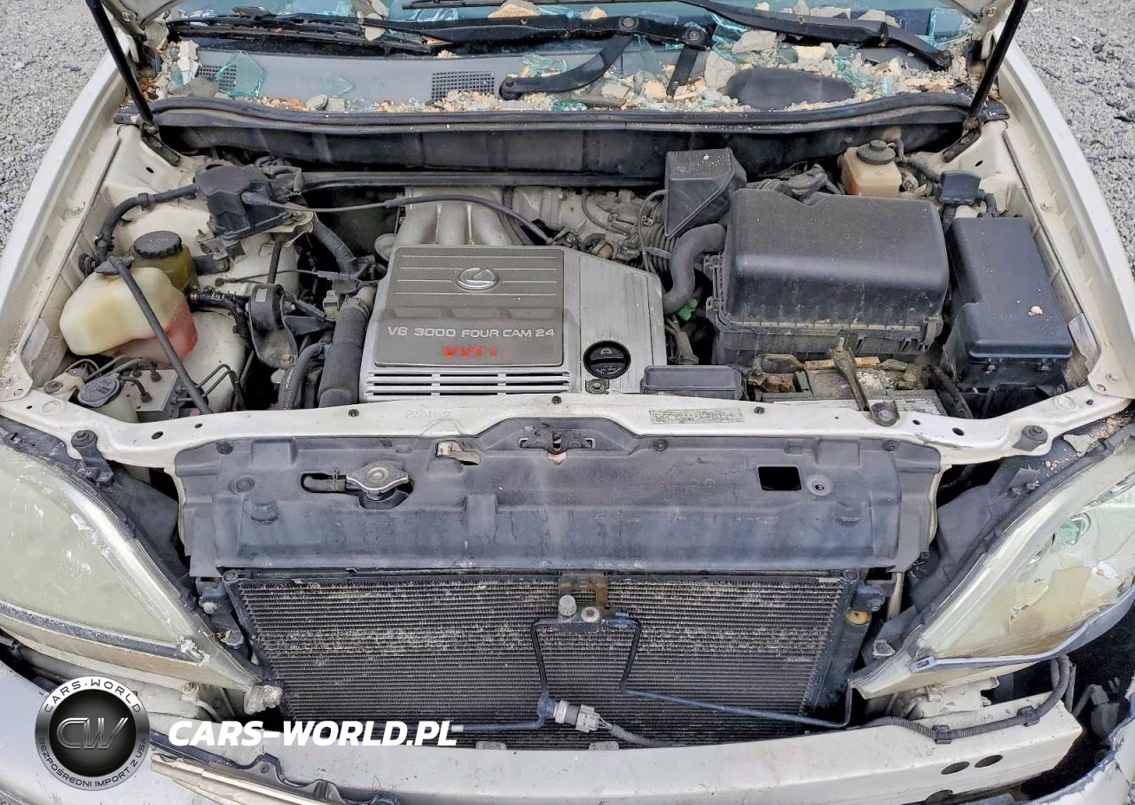 2000 Lexus Rx 300 VIN:JT6GF10U0Y0077511 - 12
