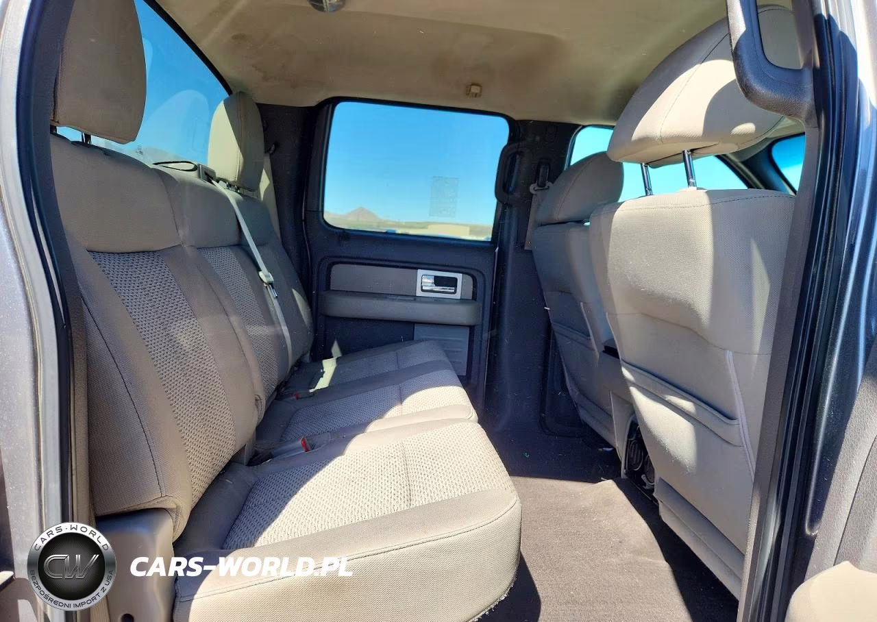 2010 Ford F150 Supercrew VIN:1FTFW1EV3AFB12292 - 10