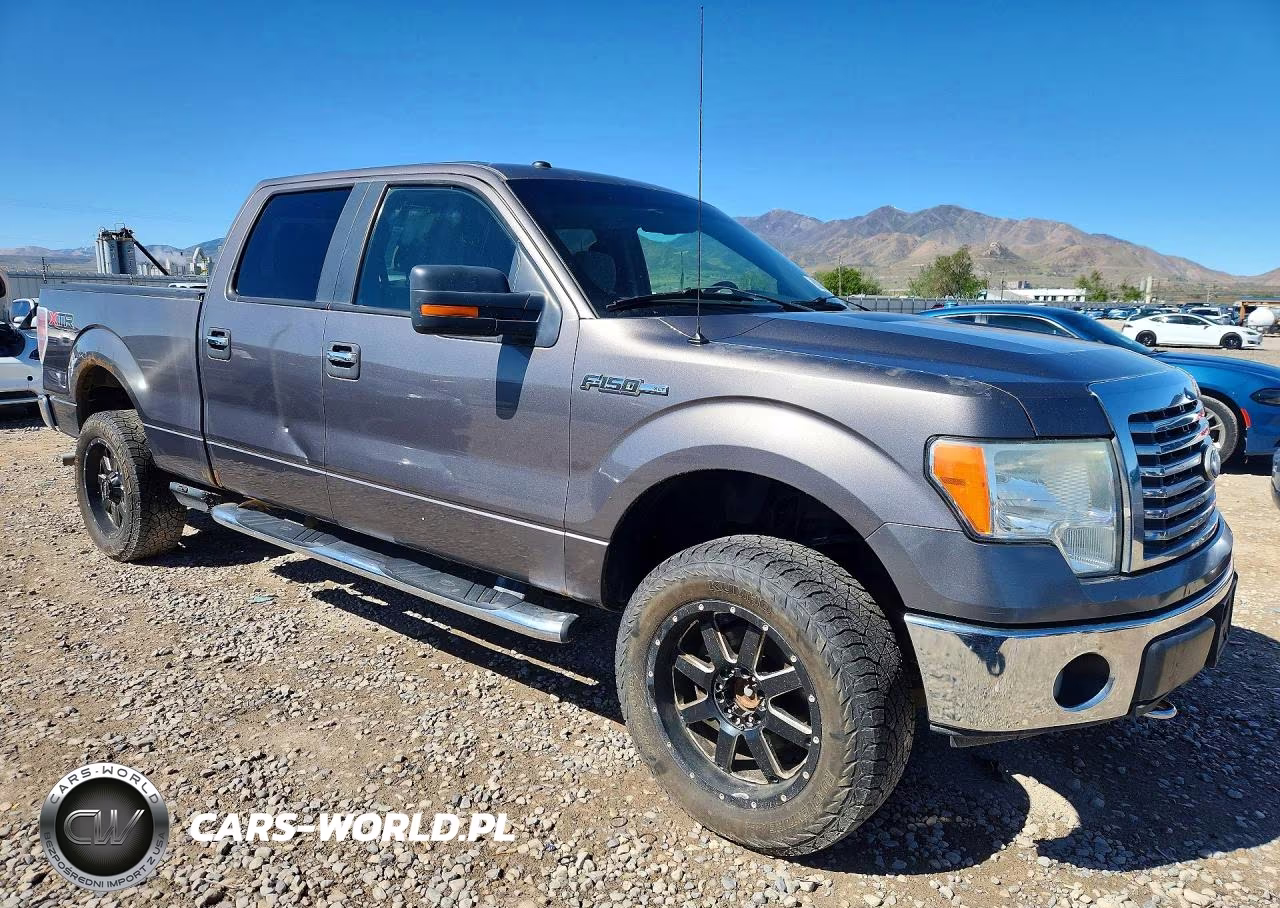 2010 Ford F150 Supercrew VIN:1FTFW1EV3AFB12292 - 4
