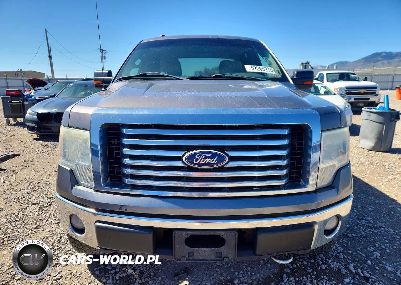 2010 Ford F150 Supercrew VIN:1FTFW1EV3AFB12292 - 5