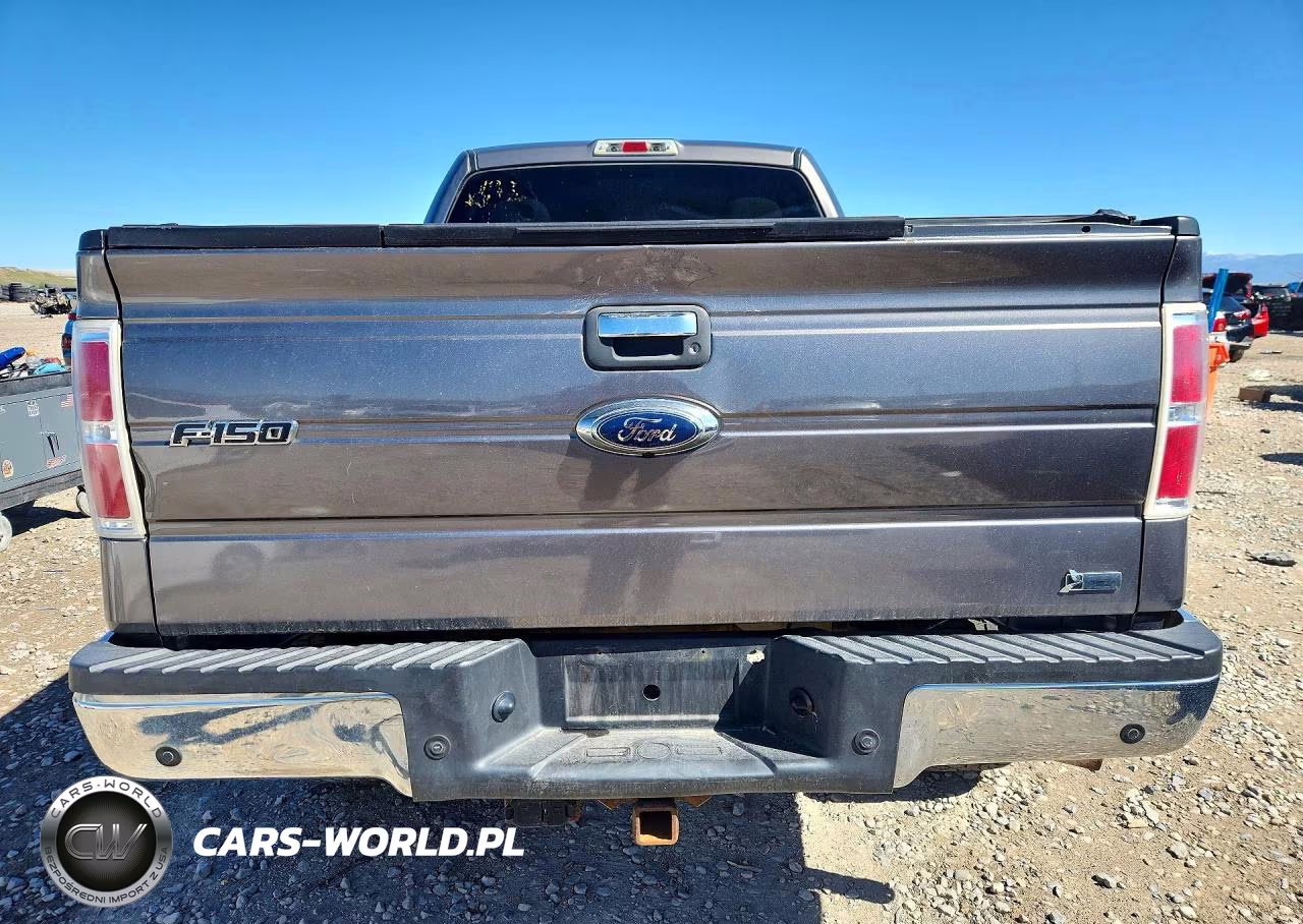 2010 Ford F150 Supercrew VIN:1FTFW1EV3AFB12292 - 6