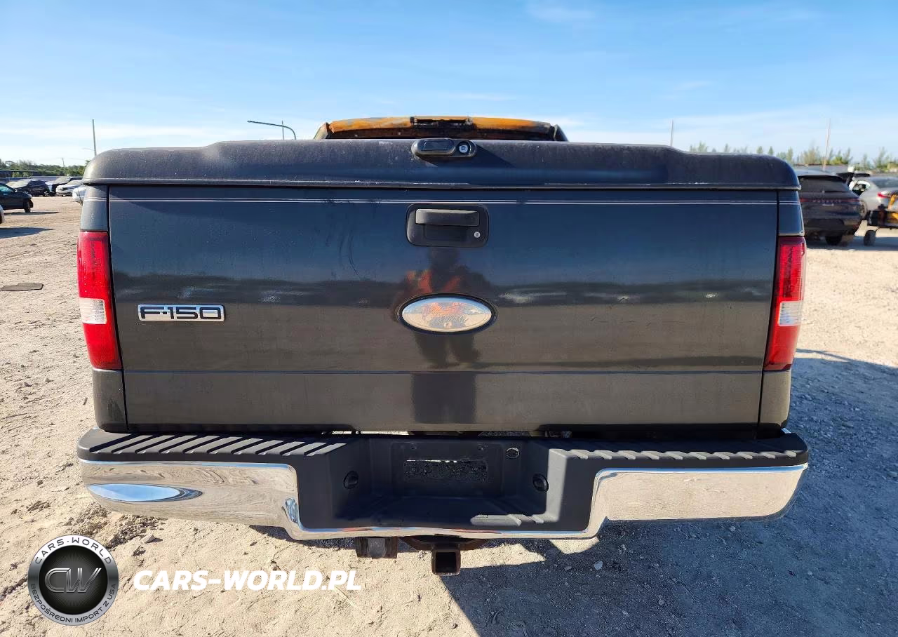 2006 Ford F150 VIN:1FTRX12W46NA35856 - 6