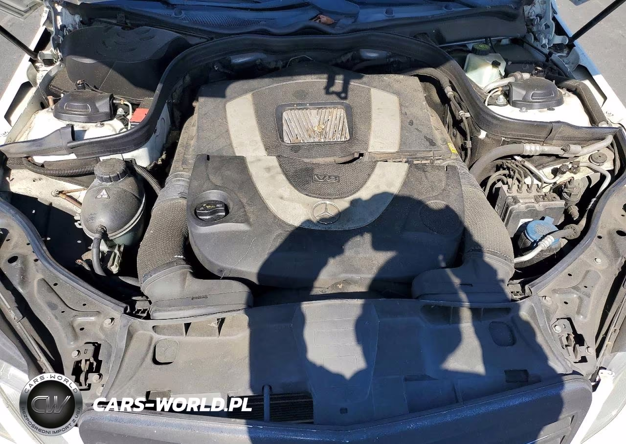 2010 Mercedes-Benz E 550 VIN:WDDHF7CB9AA067706 - 11