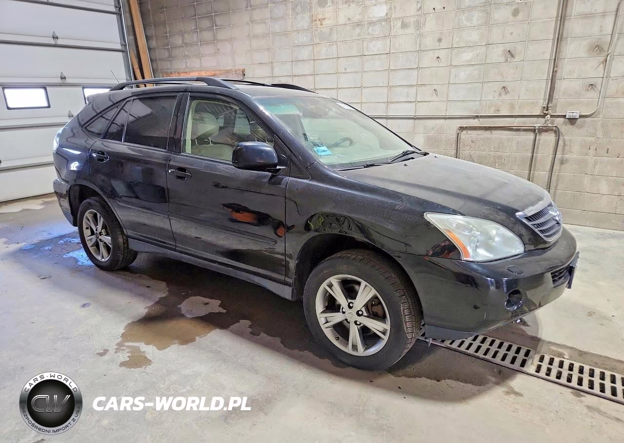 2006 Lexus Rx 400 Awd VIN:JTJHW31U160038458 - 4