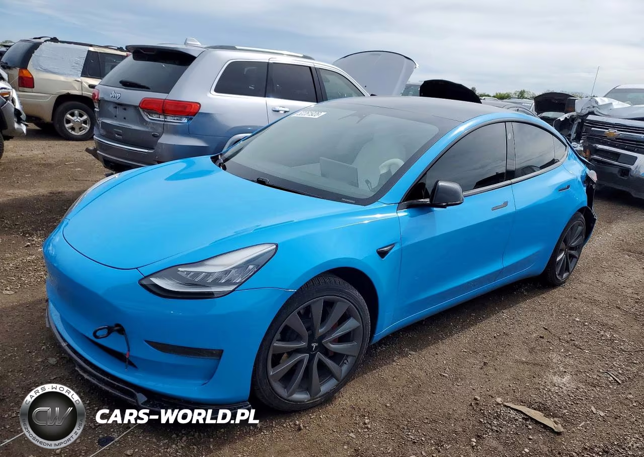 2019 Tesla Model 3