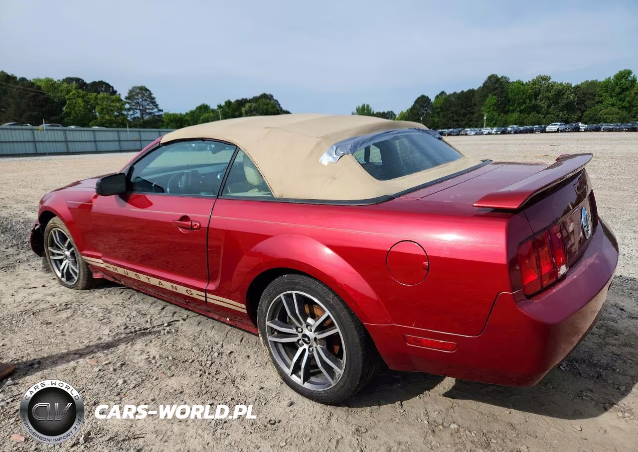 2006 Ford Mustang VIN:1ZVFT84N665102272 - 2