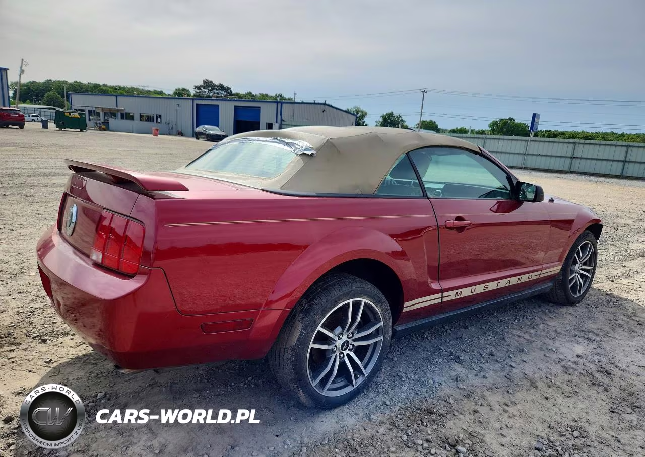 2006 Ford Mustang VIN:1ZVFT84N665102272 - 3