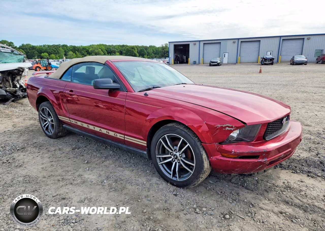 2006 Ford Mustang VIN:1ZVFT84N665102272 - 4