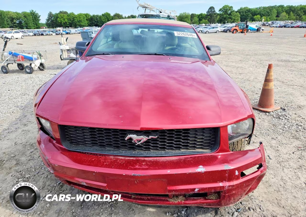 2006 Ford Mustang VIN:1ZVFT84N665102272 - 5