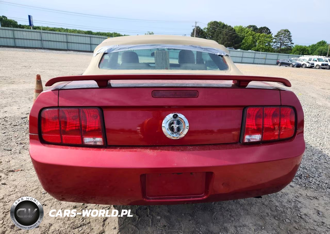 2006 Ford Mustang VIN:1ZVFT84N665102272 - 6