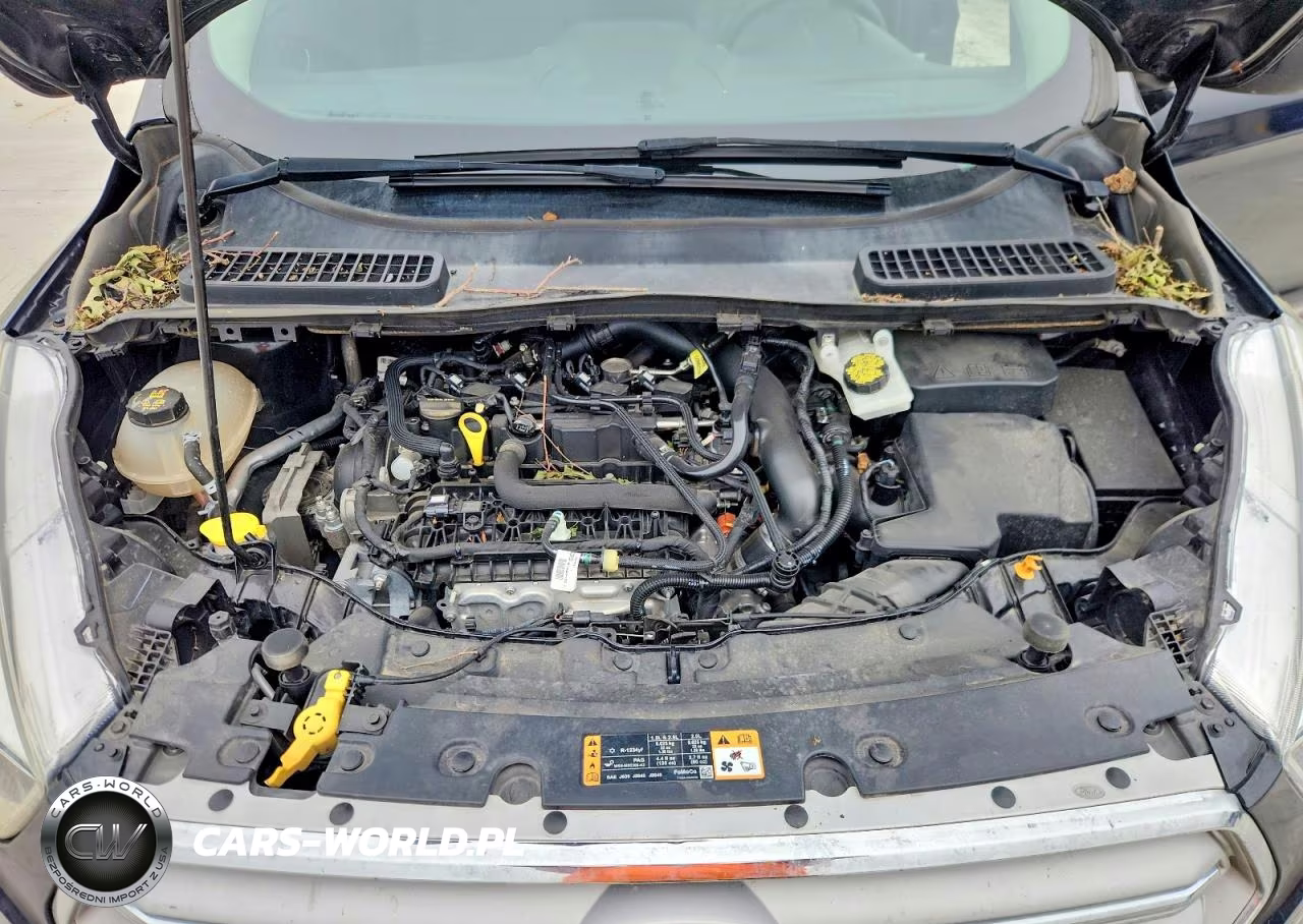 2019 Ford Escape Se VIN:1FMCU0GD0KUA99923 - 12