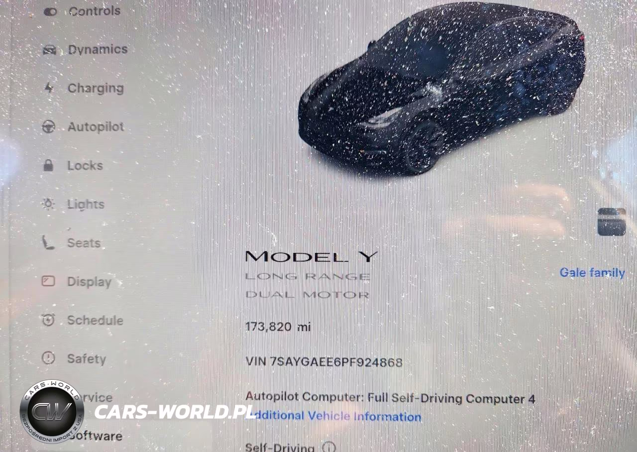 2023 Tesla Model Y VIN:7SAYGAEE6PF924868 - 9