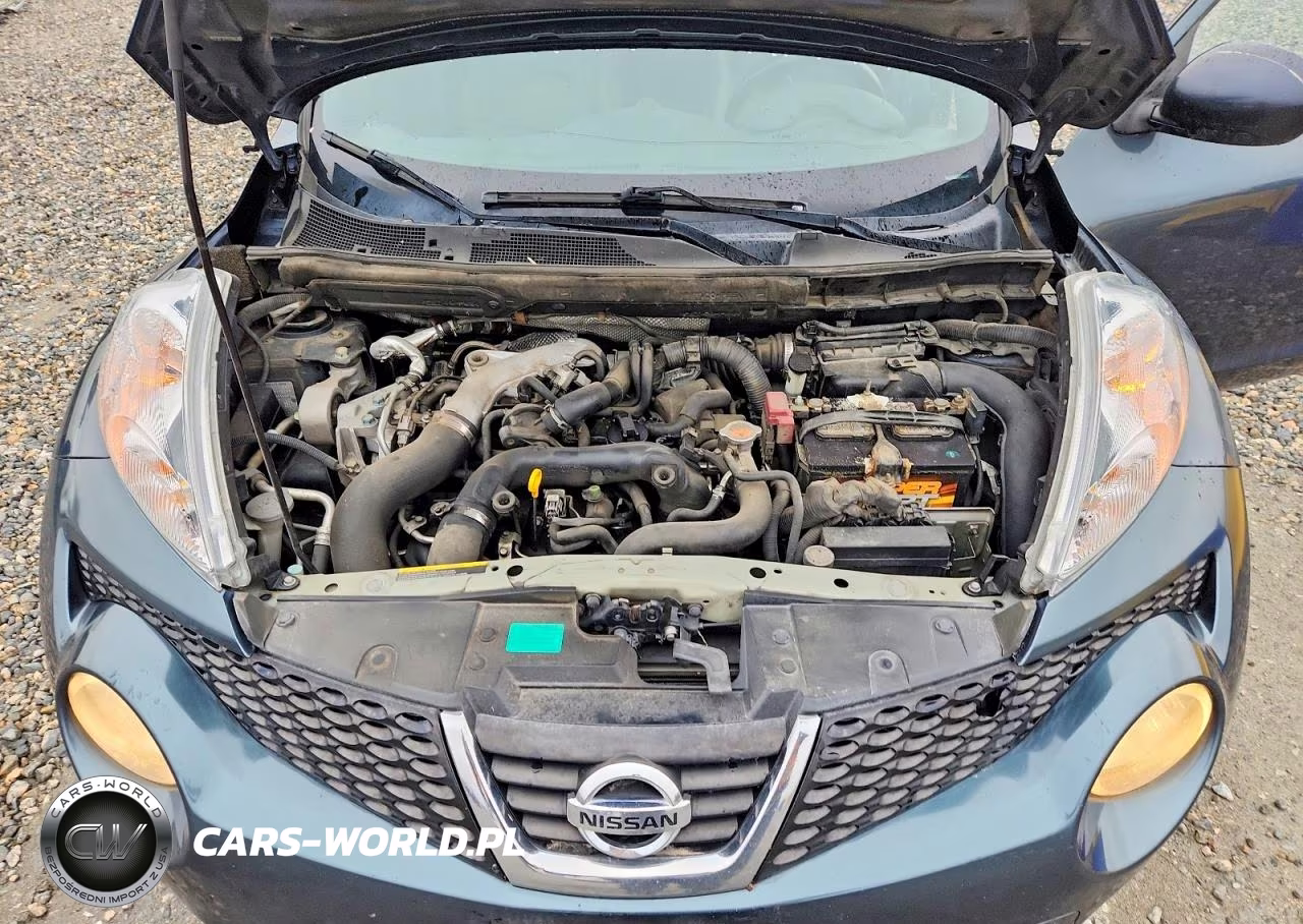2013 Nissan Juke S VIN:JN8AF5MV9DT205539 - 12