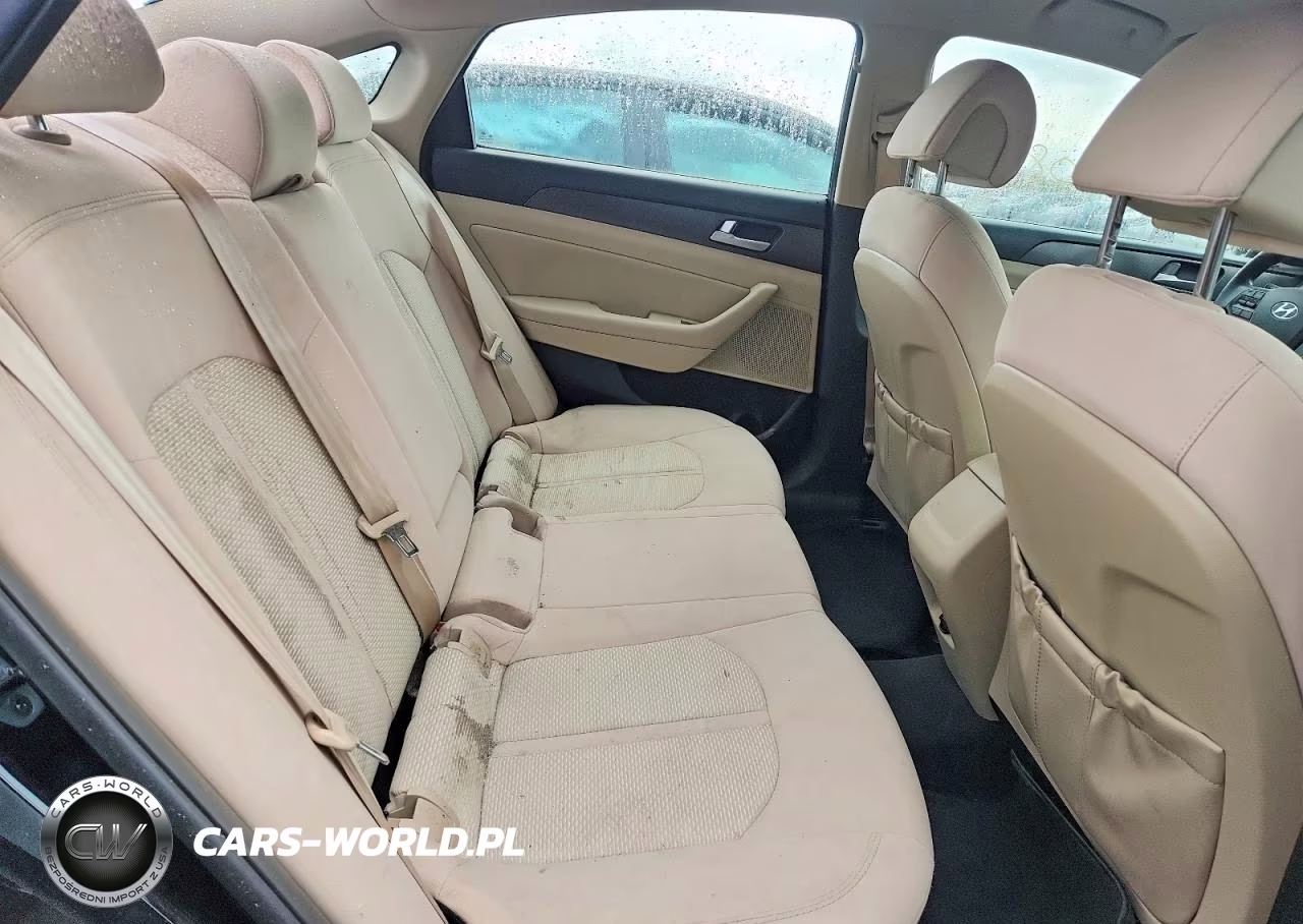 2016 Hyundai Sonata Sport VIN:5NPE34AF9GH394117 - 10
