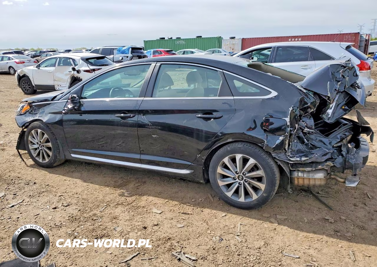 2016 Hyundai Sonata Sport VIN:5NPE34AF9GH394117 - 2