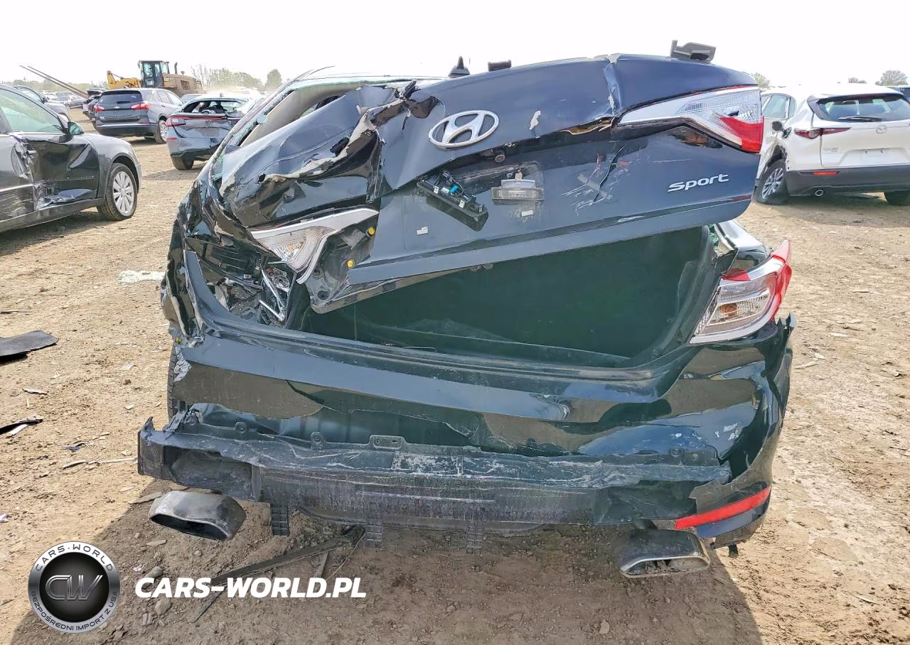 2016 Hyundai Sonata Sport VIN:5NPE34AF9GH394117 - 6