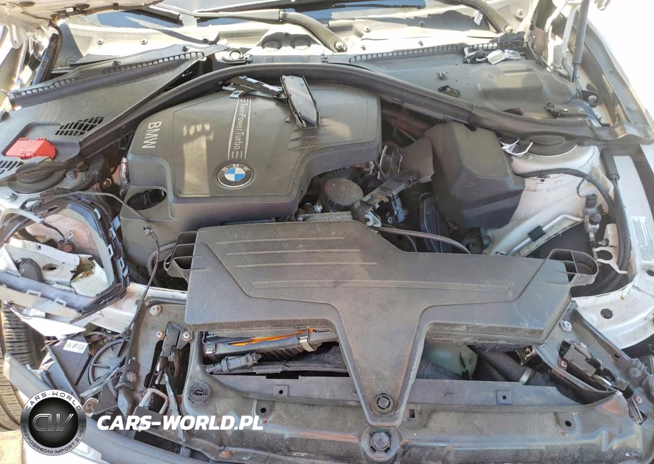2015 BMW 428 Xi VIN:WBA3N9C55FK246157 - 11
