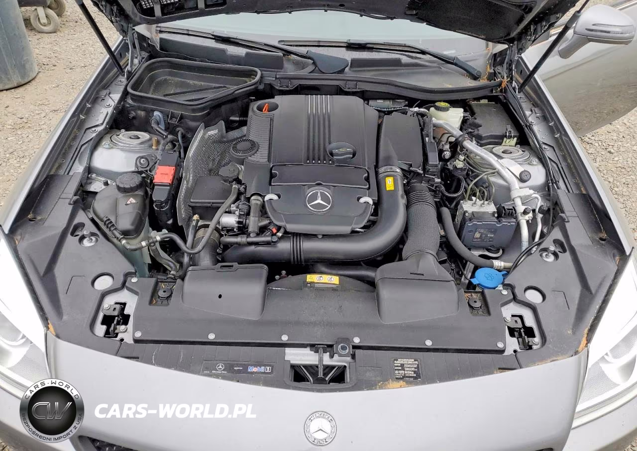 2012 Mercedes-Benz Slk 250 VIN:WDDPK4HAXCF036248 - 11