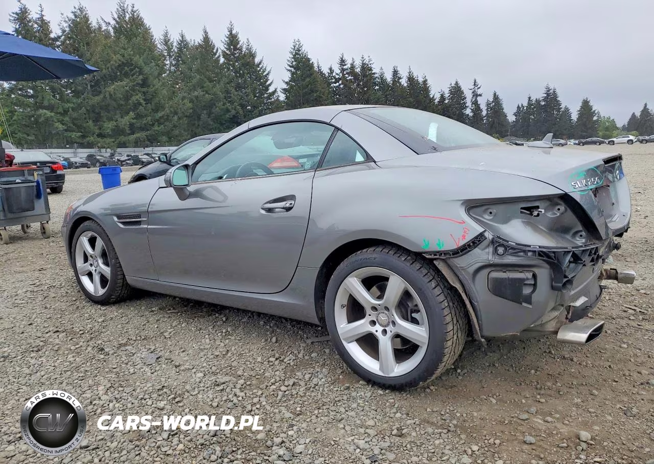 2012 Mercedes-Benz Slk 250 VIN:WDDPK4HAXCF036248 - 2