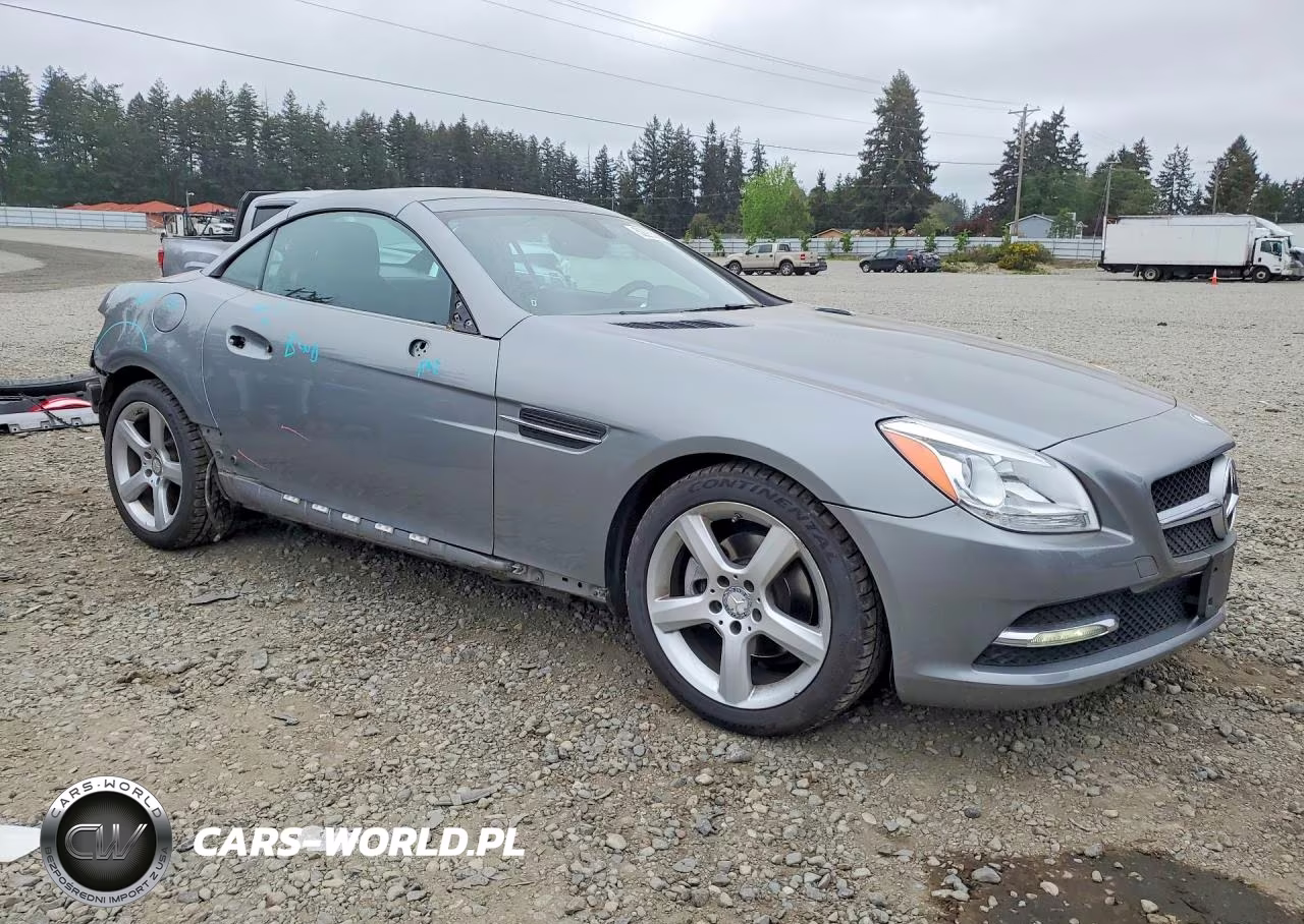2012 Mercedes-Benz Slk 250 VIN:WDDPK4HAXCF036248 - 4