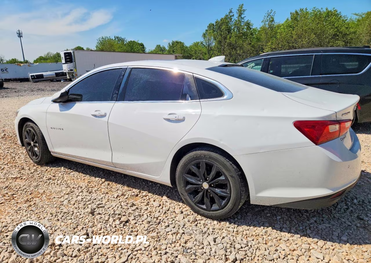 2024 Chevrolet Malibu Lt VIN:1G1ZD5ST5RF181504 - 2