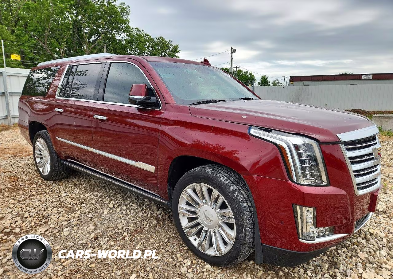 2017 Cadillac Escalade Esv Platinum VIN:1GYS4KKJ9HR130570 - 4