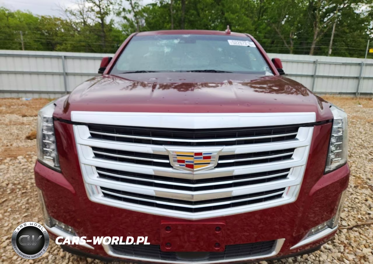 2017 Cadillac Escalade Esv Platinum VIN:1GYS4KKJ9HR130570 - 5
