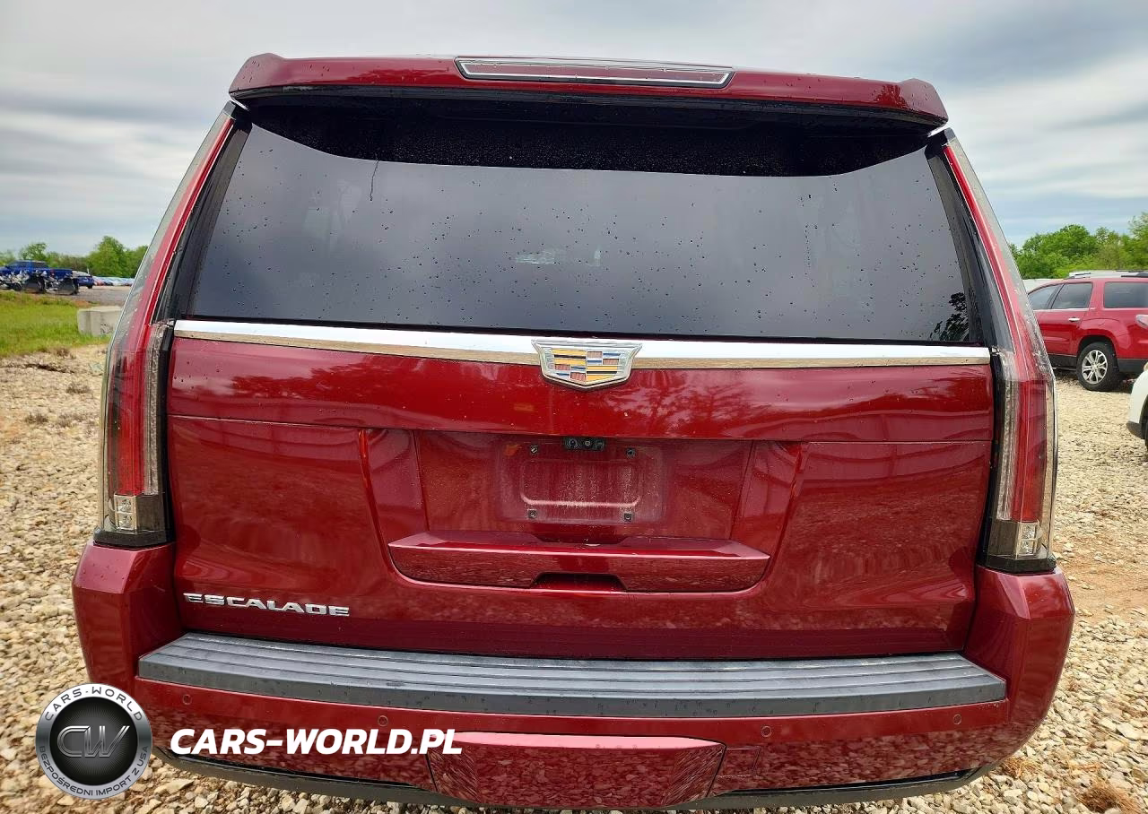 2017 Cadillac Escalade Esv Platinum VIN:1GYS4KKJ9HR130570 - 6