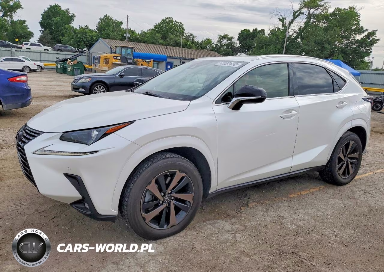 2020 Lexus Nx 300