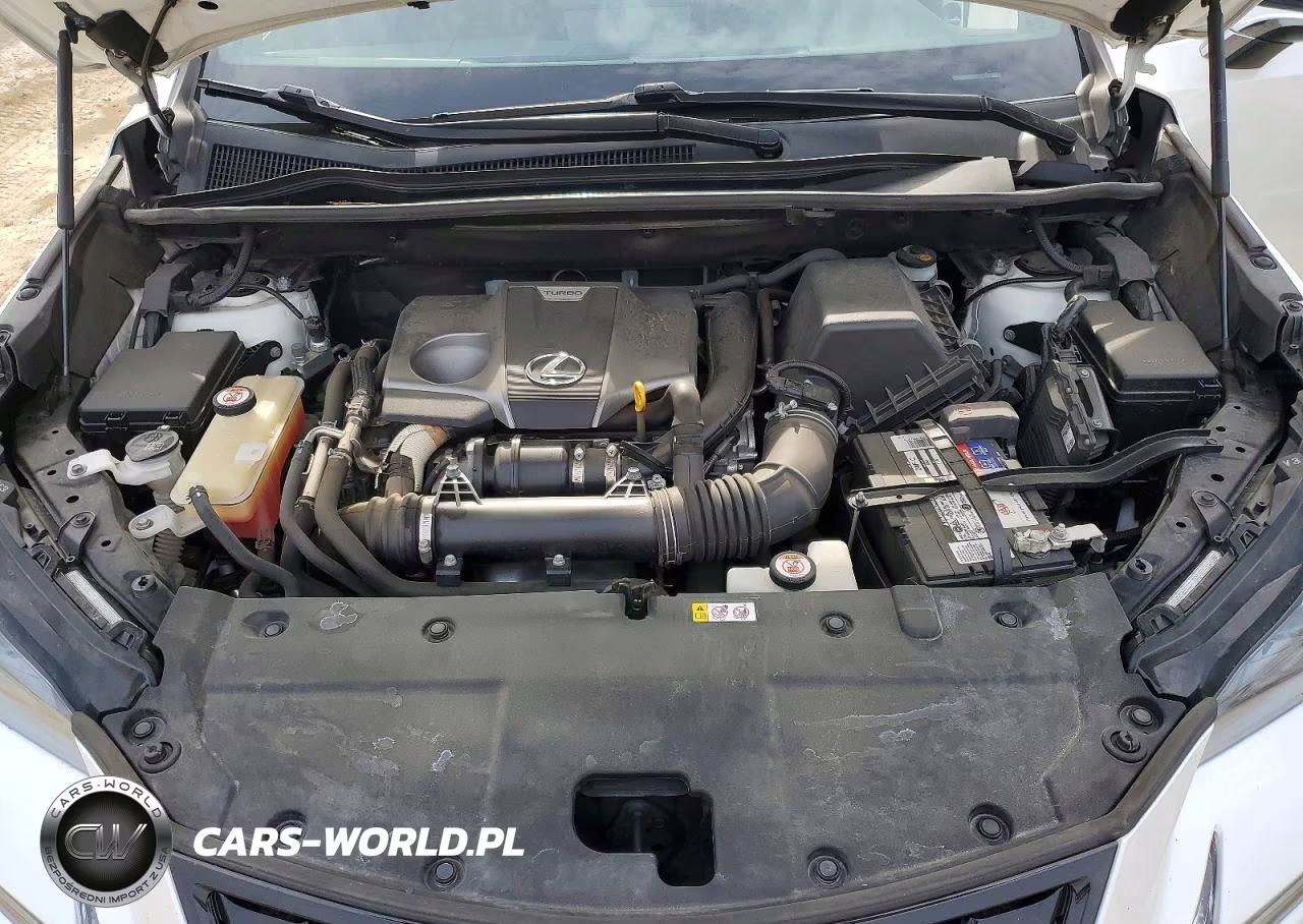 2020 Lexus Nx 300 VIN:JTJGARDZ9L2230571 - 11