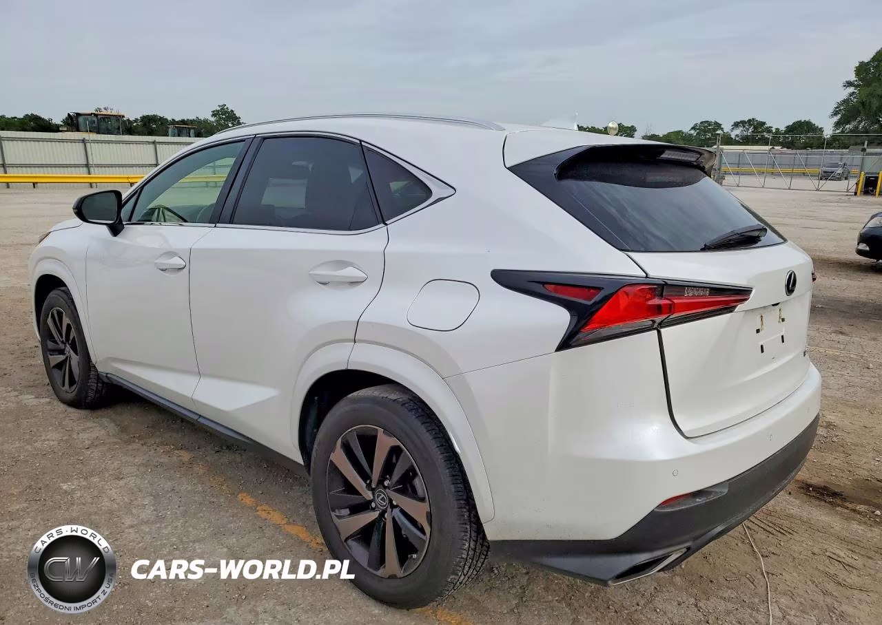 2020 Lexus Nx 300 VIN:JTJGARDZ9L2230571 - 2