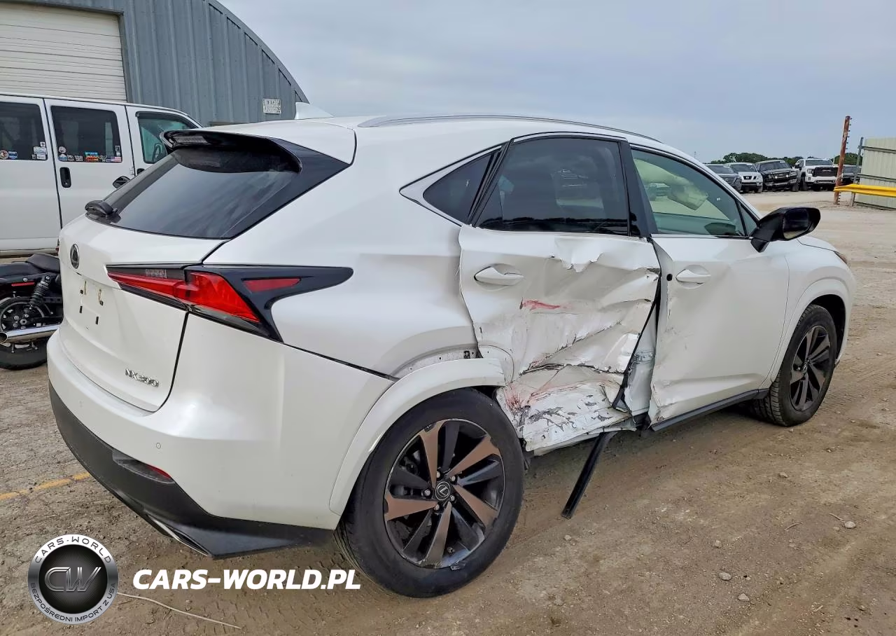 2020 Lexus Nx 300 VIN:JTJGARDZ9L2230571 - 3