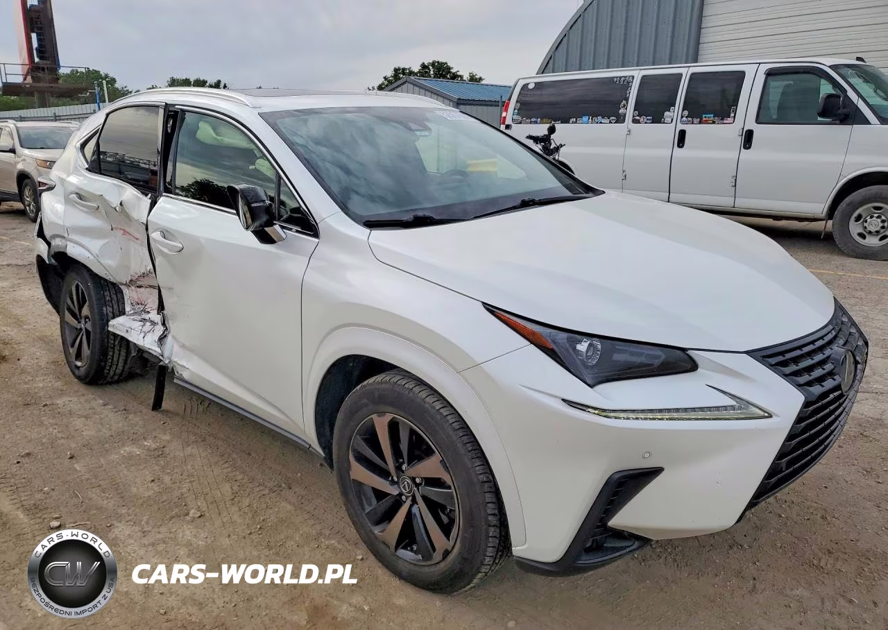 2020 Lexus Nx 300 VIN:JTJGARDZ9L2230571 - 4