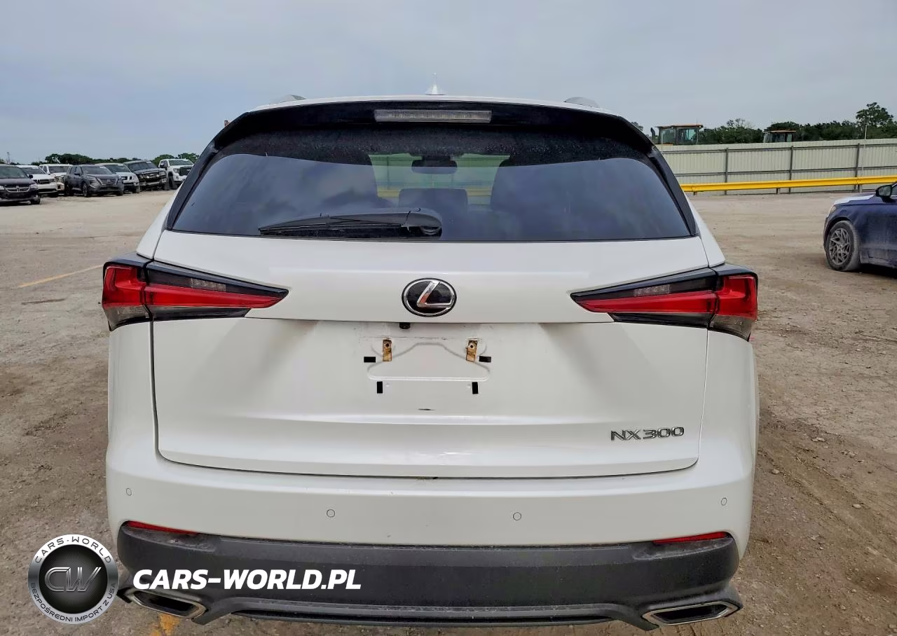 2020 Lexus Nx 300 VIN:JTJGARDZ9L2230571 - 6