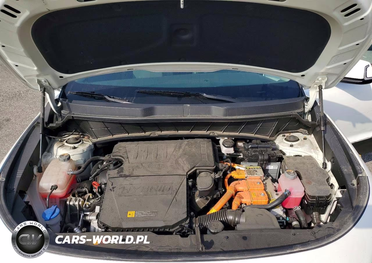 2024 Kia Niro Ex VIN:KNDCR3LE3R5143584 - 12