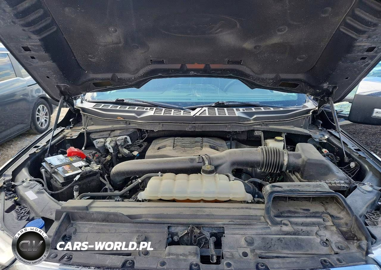 2021 Ford F150 Supercrew VIN:1FTFW1E87MFA81577 - 11