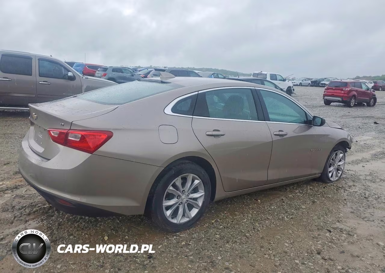 2023 Chevrolet Malibu Lt VIN:1G1ZD5ST5PF247630 - 3